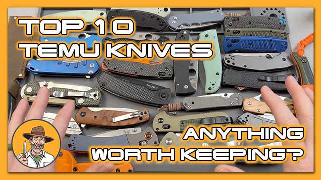 Top 10 Temu Knives – Anything Worth Keeping?